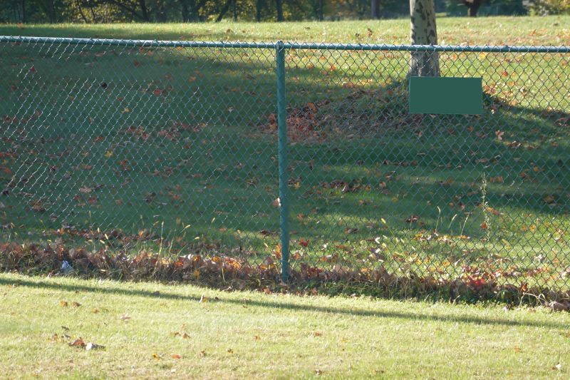 Fence Gate Repair detail